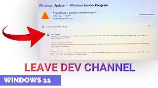 How to Leave Dev Channel Windows 11 - Dev Channel to Stable Windows 11- Leave Insider Program Win 11