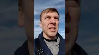 Без сучка, без задоринки #shorts #юмор