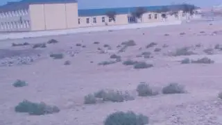 Жынгылды ауылы