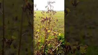 Nature//#special_4_U