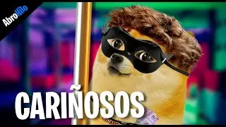 Fui a los CARIÑOSOS😳