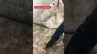 Плесень в стяжке пола. Квартира с торгов по банкротству