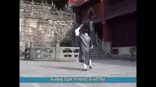 Wudang Eight Immortal Sword Play