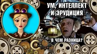 Ум, Интеллект и Эрудиция. Чем Отличается Ум от Интеллекта? Эрудиция и Интеллект – Что Важнее?