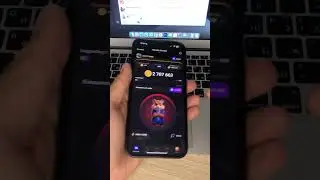 Hamster combat азбука Морзе обновление