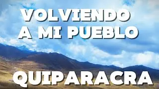 QUIPARACRA AGOSTO 2023 / ALIMENTANDO AL GANADO 🐮🐄 / SEMBRANDO PAPA 🌱🥔