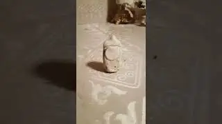 тем временем банка кукурузы на заднем фоне