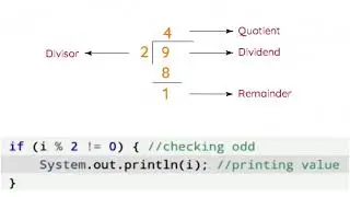 Class 12 Odd Numbers Programs With Logic