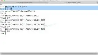 (Learn Programming With Python) 12-Step 09-Advanced Printing output to console with Python
