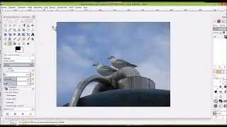 Grote foto verkleinen met Gimp