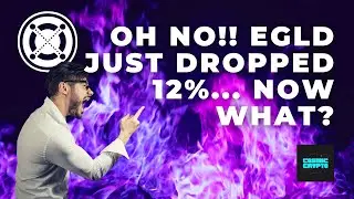 EGLD Crashing!! Is This A Huge Buy Opportunity For EGLD!!