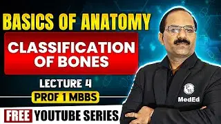 Classification Of Bones | Basics of Anatomy | Dr. Pradeep Pawar