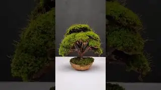 Creative Art With Coconut Shell And Moss 🥥🥥🥥 #shorts #art #diy #coconutshellcraft #ideas