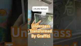 Graffiti artists secretly transform underpass into masterpiece!