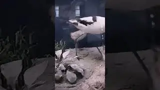 #активпж #подпишись #52