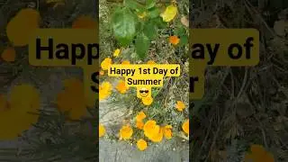 Happy Summer Solstice! 🌞 #summer #summervibes  #summersolstice #oakland #bayarea #california