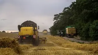 Żniwa 2021 GR Majchrzycki