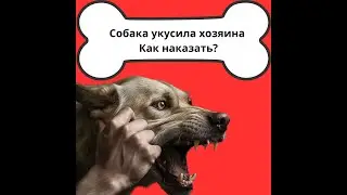 как наказать собаку если она укусила хозяина?