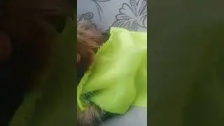 23 февраля 2023 г.