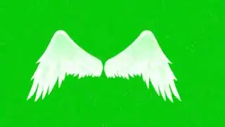 🌈⭐|футаж крыльев|⭐🌈