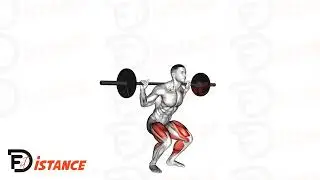 Squat sautés à la barre