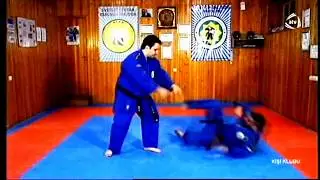 REAL AIKIDO TECHNIQUES - MIX #1