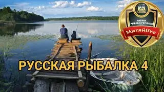 #рр4