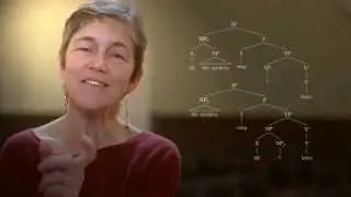 Generative Syntax 4.2-4.4: Sentence Structure