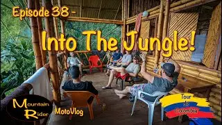 EP 38 - Into the Jungle