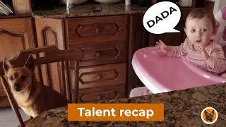 My dogs talent recap and my daughter first words!!