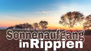 Sonnenaufgang in Rippien (Dresden)