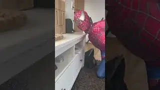 Typical Spidey  Monday 