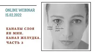 КАНАЛЫ СЛОЯ ЯН МИН: КАНАЛ ЖЕЛУДКА. Ч/2. ОНЛАЙН ВЕБИНАР. КИТАЙСКАЯ МЕДИЦИНА.