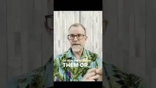 Healing the Feelings Connected to Painful Memories