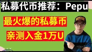 当前最火爆的私募代币：Pepu，亲测实战入金10000U，一个月筹资金额1千万刀，会是下一个pepe吗？