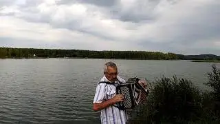 #гармонь