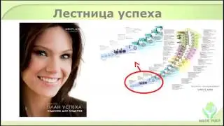 Маркетинг план компании Стас Токарев