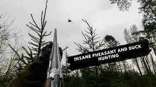 INSANE PHEASANT and DUCK Hunting