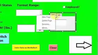 Lesson 32.10 Tab Strip Multi Page in VBA