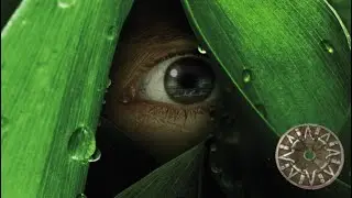 The River - Series Trailer
