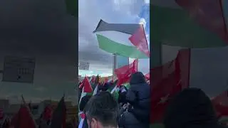 #palestinemustlive