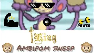 🐵~AMBIPOM SWEEP~🐵 Dual Chops DESTROY NOOB!