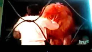 Lion attacking trainer