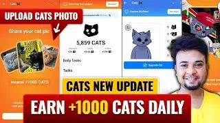Cats New Update | Cat Airdrop New Update | Last Update OG Pass | Share your cat pic | Upgrade Cat