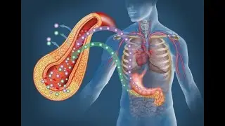 Glucose Emergencies