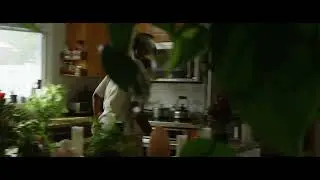 vfx project track and replace