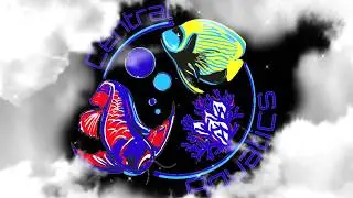Central Aquatics