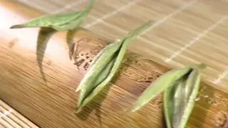 Бай Хао Инь Чжень «Серебряные Иглы»
