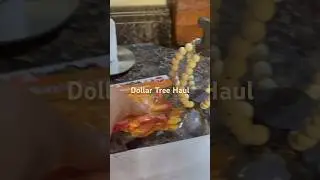 DOLLAR TREE HAUL // FALL HAUL 🥰 #shop #haul