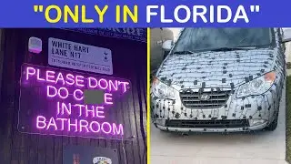 “Only In Florida” Unhinged Things People Witnessed Happening In The Sunshine State | Happy And Fun